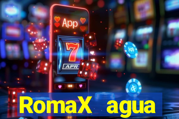 RomaX agua sanitaria fispq agua sanitaria romax